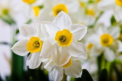 《嗜血印》推出新更新 部分内容重做与完善